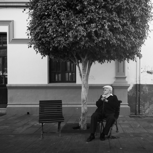 Les petits bancs | © Gilles Vanderstraeten