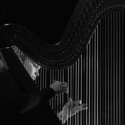 La harpiste | Orchestre symphonique des Jeunes de Strasbourg. Harpiste : Orégane Bulou. | © Gilles Vanderstraeten