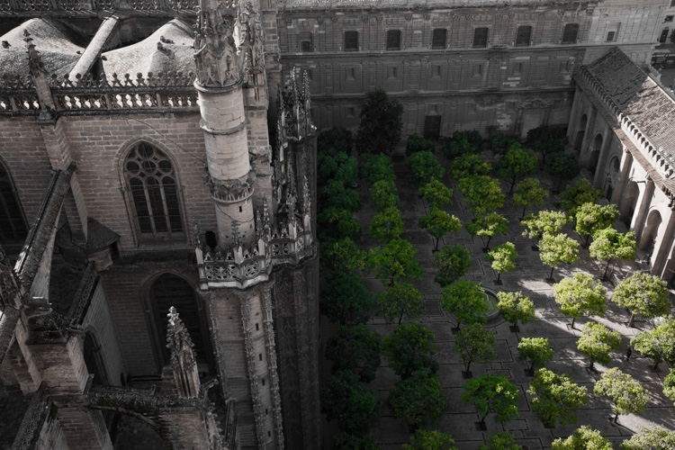 La cathédrale et les orangers | © Gilles Vanderstraeten