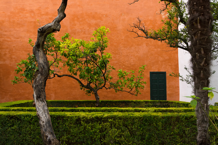 Jardin coloré | Reales Alcázares | © Gilles Vanderstraeten