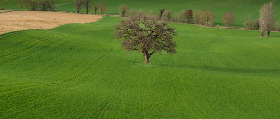 Paysage | © Gilles Vanderstraeten