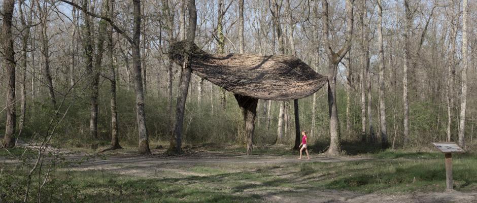 Yané | Yané de Teruhisa Suzuki. | © Gilles Vanderstraeten