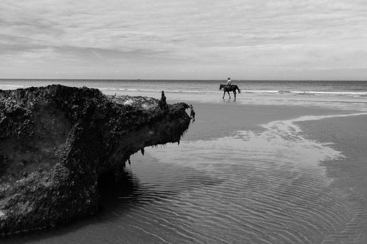 Le cheval sur la plage | © Gilles Vanderstraeten