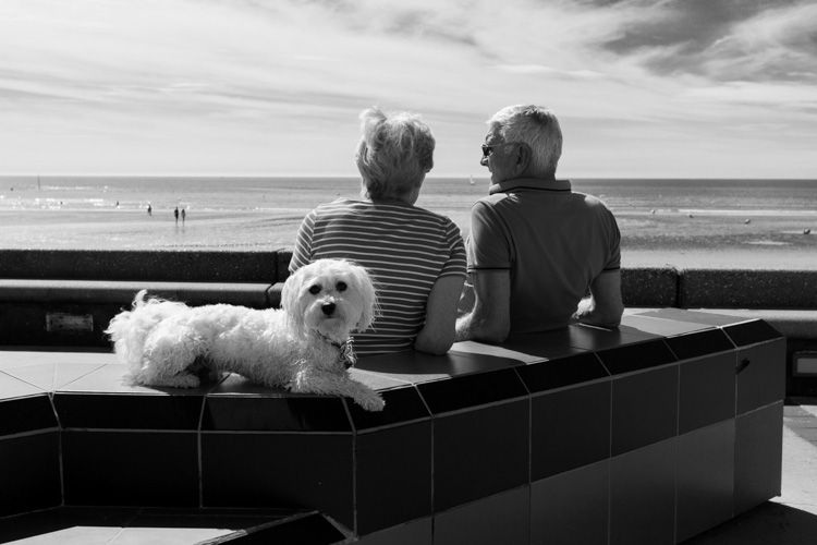 Le couple et le chien | © Gilles Vanderstraeten