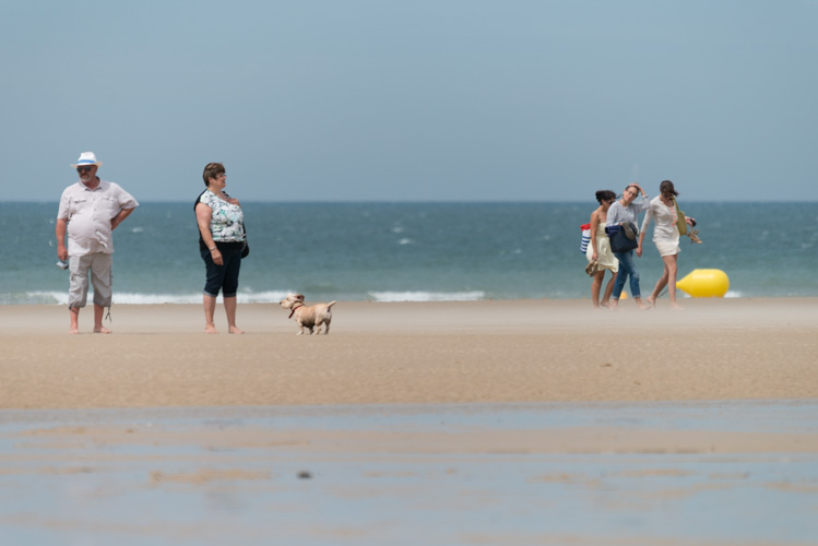 Promeneurs sur la plage de Wissant | © Gilles Vanderstraeten