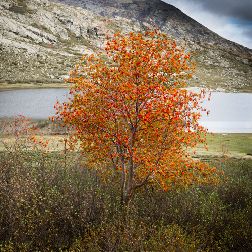 Corse | Lac de Nino sur le GR 20, 1743m. | © Gilles Vanderstraeten