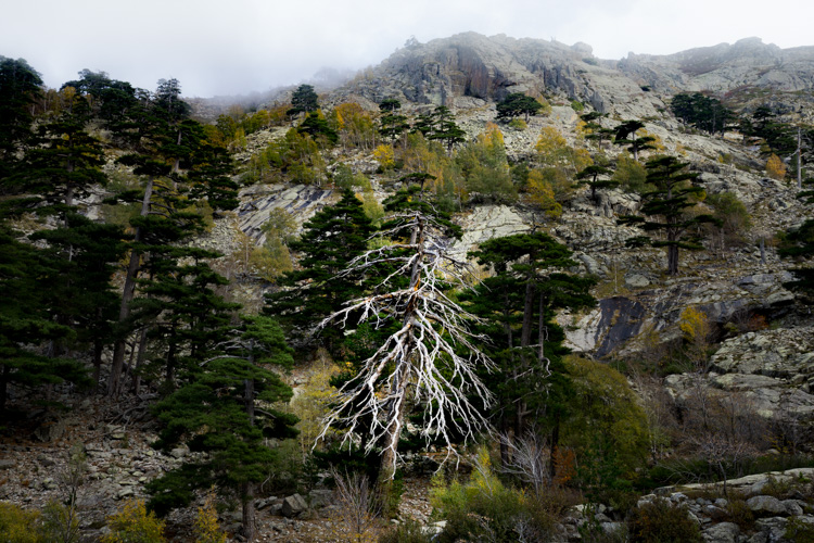 Corse | Descente du Lac de Nino. | © Gilles Vanderstraeten