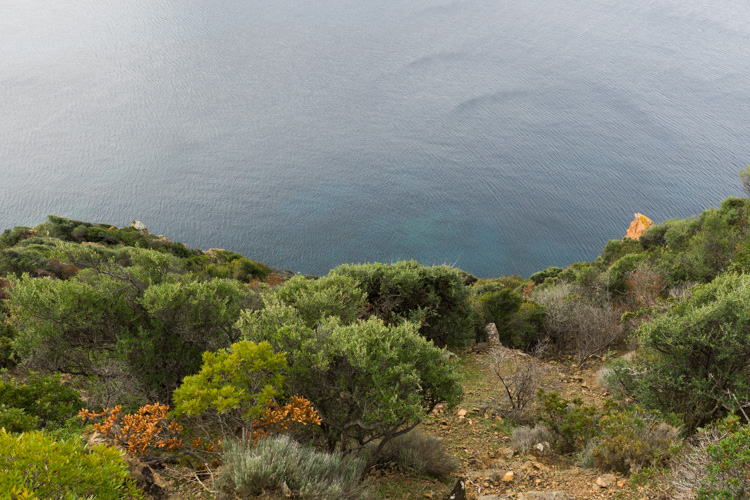 Corse | Mare e Monti, chemin du facteur vers Girolata. | © Gilles Vanderstraeten