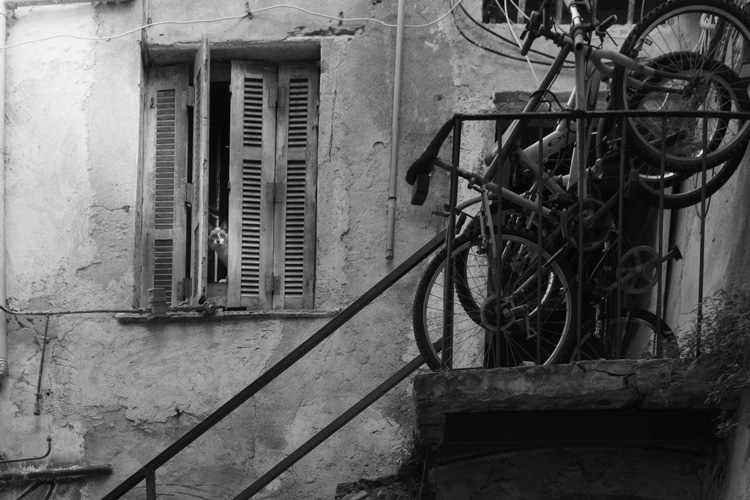 Corse | Le chat derrière les persiennes. | © Gilles Vanderstraeten